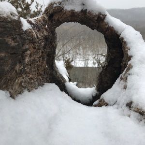 Meet your Posher, Josep